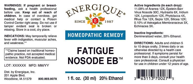 Fatigue Nosode EB 1 oz (EQ)