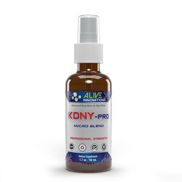 KDNY Pro (AI)