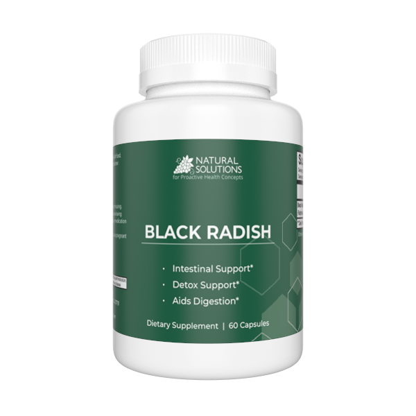 Black Radish (NS)