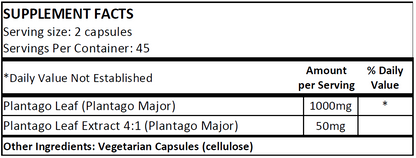 Plantago (NS)