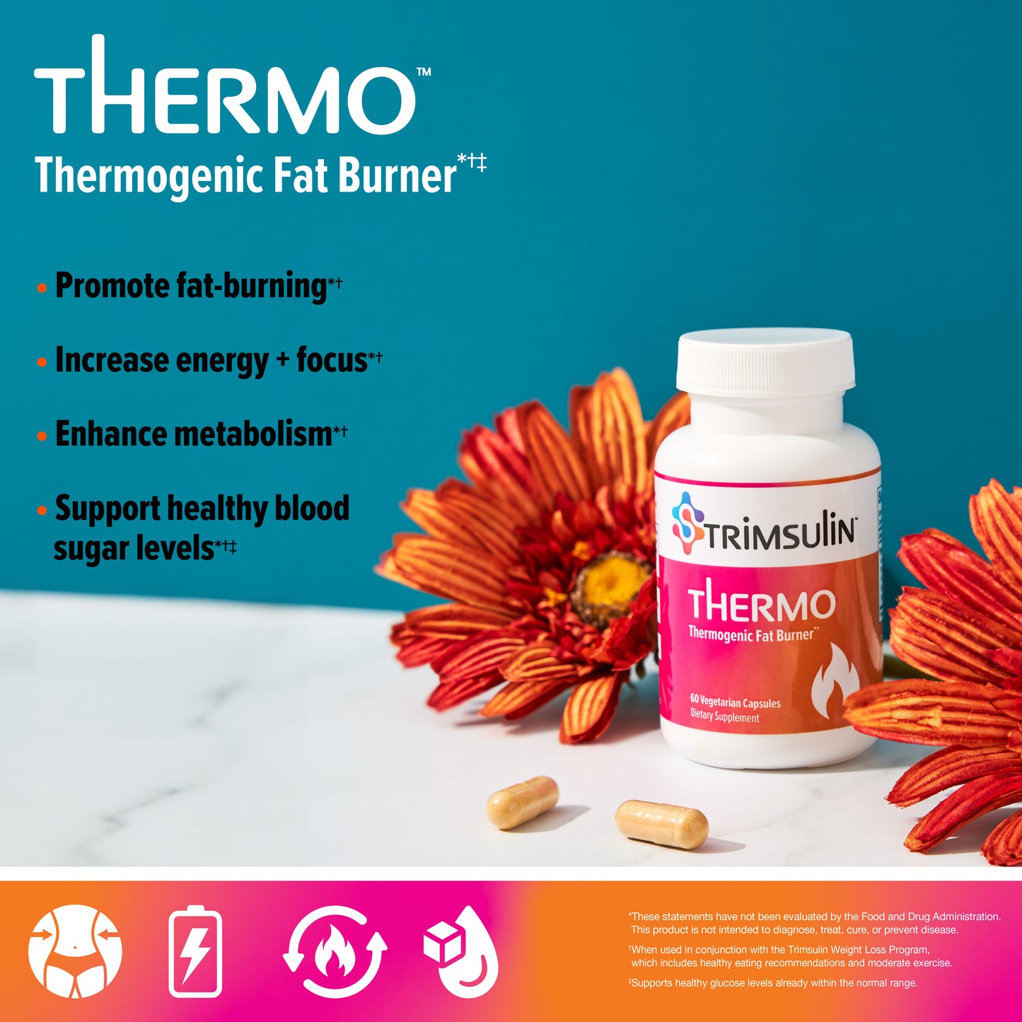 Thermo (FF)