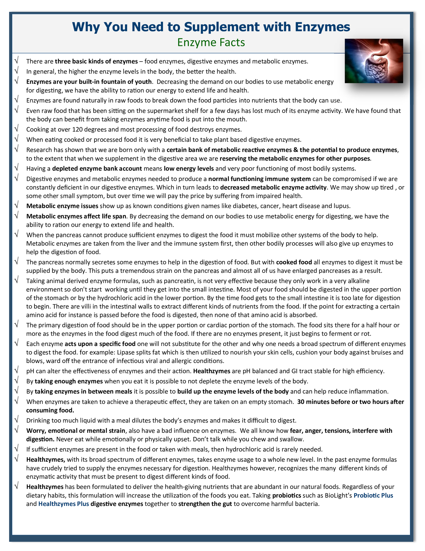 Healthzymes Plus (BL)